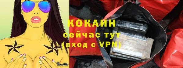 сатива Снежинск