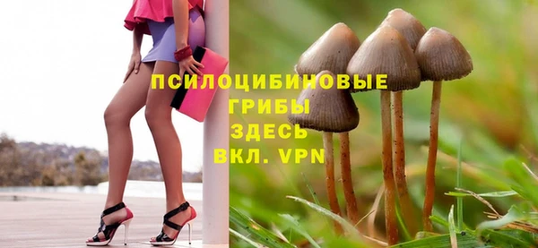 сатива Снежинск