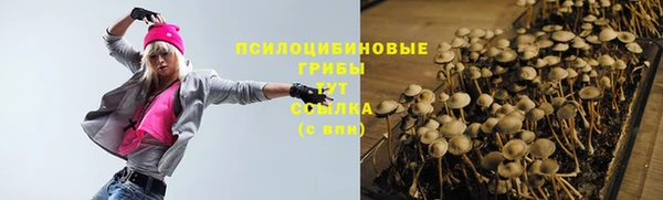 марихуана Снежногорск