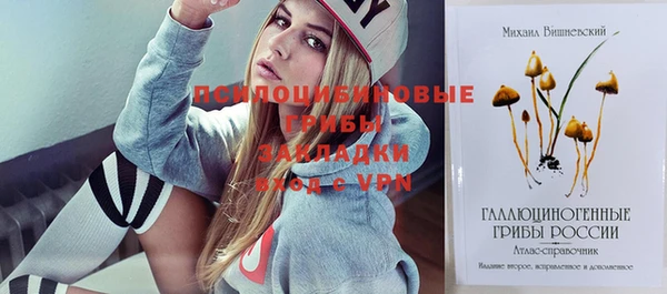 бошки Слюдянка