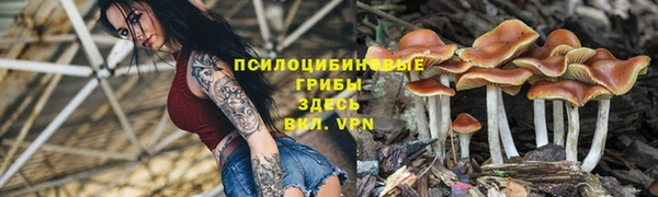 сатива Снежинск