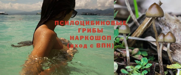 марихуана Снежногорск
